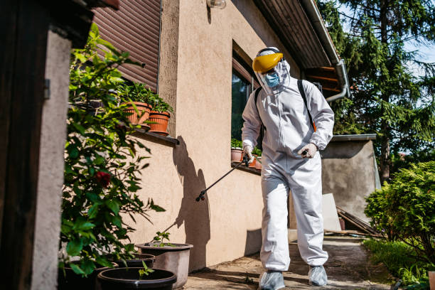 Wildlife Control Services in Decatur, MS