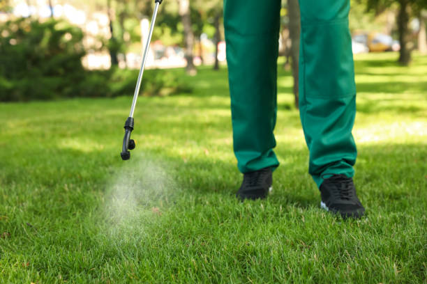 Best Pest Removal Services  in Decatur, MS
