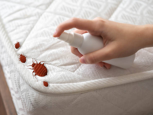 Best Pest Prevention Services  in Decatur, MS
