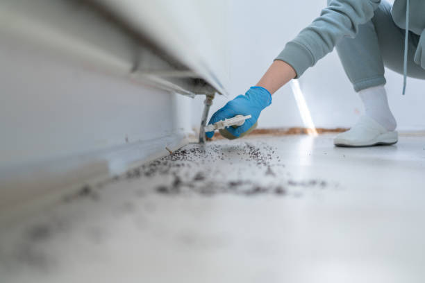 Best Cockroach Control Services  in Decatur, MS