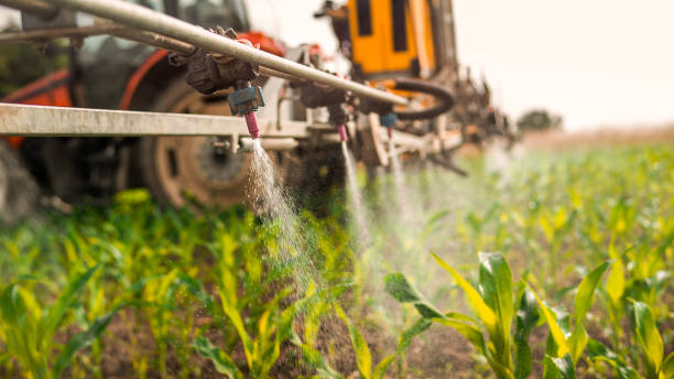Best Commercial Pest Control Services  in Decatur, MS